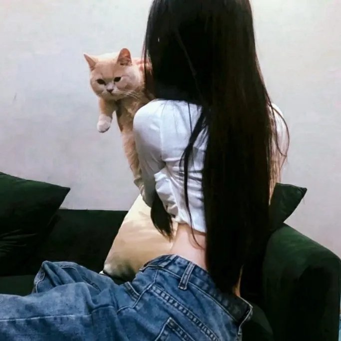 姜戈与姜戈